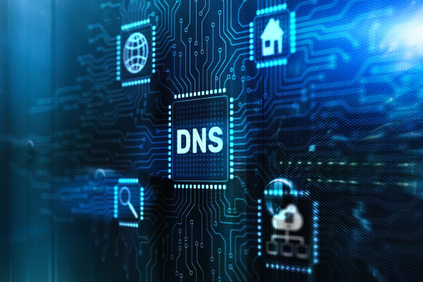 DNS Management Services